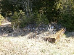 Ruiner av bygning på Kamphaug. Foto: Chris Nyborg (2014).