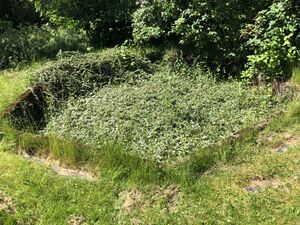 Kanonstilling Riistoppen 4.JPG