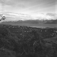 79. Kanstadsamlingen - NMF010005-00018.jpg