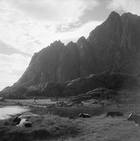 86. Kanstadsamlingen - NMF010005-00033.jpg