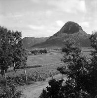 11. Kanstadsamlingen - NMF010005-00045b.jpg