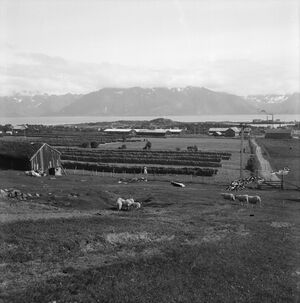 Kanstadsamlingen - NMF010005-00046.jpg