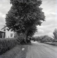 56. Kanstadsamlingen - NMF010005-00047.jpg