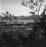 93. Kanstadsamlingen - NMF010005-00057.jpg