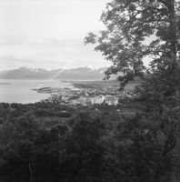 12. Kanstadsamlingen - NMF010005-00059b.jpg