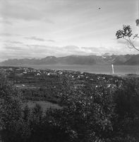 64. Kanstadsamlingen - NMF010005-00065.jpg