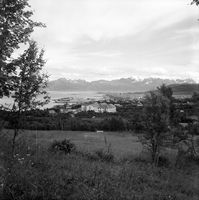 13. Kanstadsamlingen - NMF010005-00066b.jpg