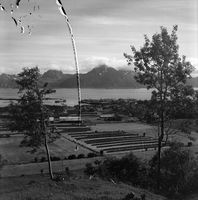 100. Kanstadsamlingen - NMF010005-00071.jpg