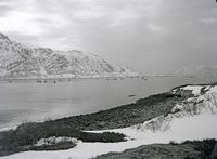 81. Kanstadsamlingen - NMF010005-00130.jpg