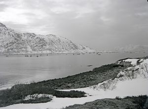 Kanstadsamlingen - NMF010005-00130.jpg