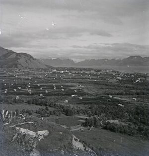 Kanstadsamlingen - NMF010005-00153.jpg