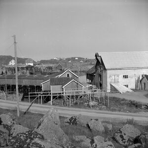 Kanstadsamlingen - NMF010005-00157.jpg