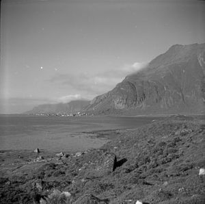 Kanstadsamlingen - NMF010005-00204.jpg