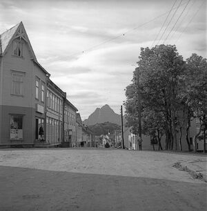 Kanstadsamlingen - NMF010005-00214b.jpg