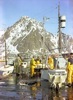 167. Kanstadsamlingen - NMF010005-00250.jpg