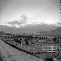 142. Kanstadsamlingen - NMF010005-00262.jpg