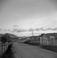 25. Kanstadsamlingen - NMF010005-00269.jpg