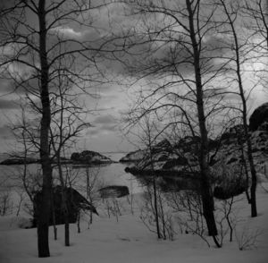 Kanstadsamlingen - NMF010005-00340.jpg