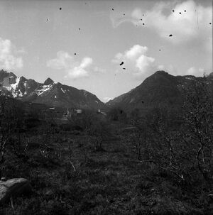 Kanstadsamlingen - NMF010005-00367.jpg