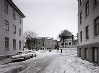 259. Kanstadsamlingen - NMF010005-00373.jpg