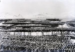 Kanstadsamlingen - NMF010005-00385.jpg