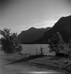 Kanstadsamlingen - NMF010005-00406.jpg