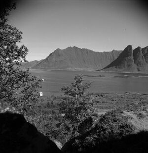 Kanstadsamlingen - NMF010005-00412.jpg