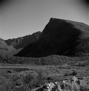 Kanstadsamlingen - NMF010005-00414.jpg