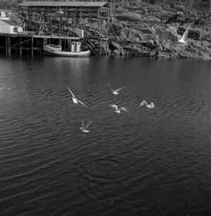 Kanstadsamlingen - NMF010005-00420b.jpg