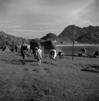 149. Kanstadsamlingen - NMF010005-00429.jpg