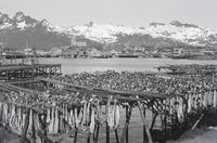 361. Kanstadsamlingen - NMF010005-00498.jpg