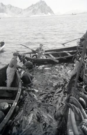 Kanstadsamlingen - NMF010005-00788.jpg