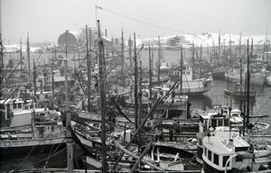 Kanstadsamlingen - NMF010005-00798.jpg