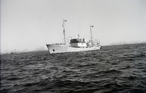 Kanstadsamlingen - NMF010005-00805.jpg