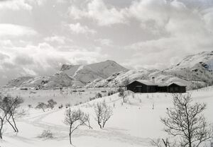 Kanstadsamlingen - NMF010005-00815.jpg