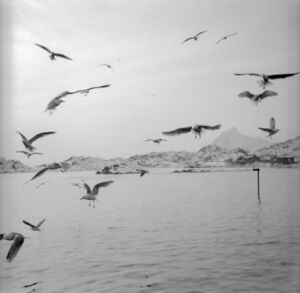 Kanstadsamlingen - NMF010005-00870.jpg