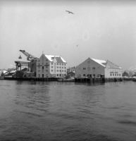 232. Kanstadsamlingen - NMF010005-00905.jpg