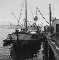 90. Kanstadsamlingen - NMF010005-01194.jpg