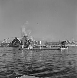 Kanstadsamlingen - NMF010005-01213.jpg