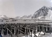 117. Kanstadsamlingen - NMF010005-01514.jpg