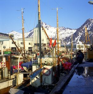 Kanstadsamlingen - NMF010005-01644.jpg