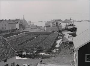 Kanstadsamlingen - NMF010005-01886.jpg