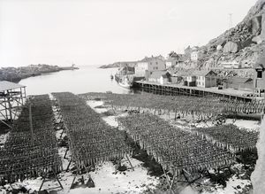 Kanstadsamlingen - NMF010005-01887.jpg