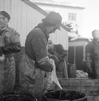 156. Kanstadsamlingen - NMF010005-02119.jpg