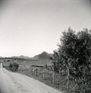 Kanstadsamlingen - NMF010005-02142.jpg