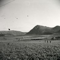 58. Kanstadsamlingen - NMF010005-02144.jpg