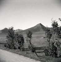 63. Kanstadsamlingen - NMF010005-02149.jpg