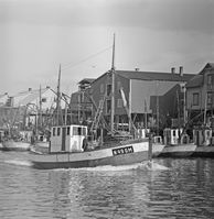 175. Kanstadsamlingen - NMF010005-02482.jpg