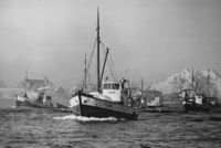 208. Kanstadsamlingen - NMF010005-03551.jpg