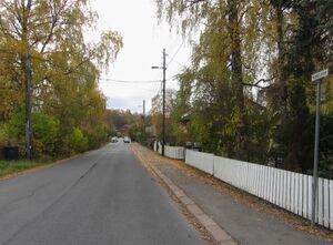 Kapellveien Oslo 2013.jpg